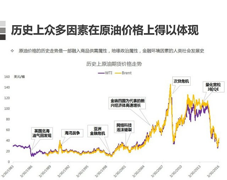 湛江一中田径队获4金2银4铜