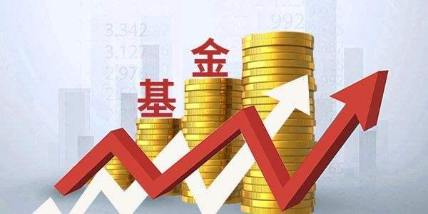 梅州海关供港澳活猪远程检疫监装模式正式启动