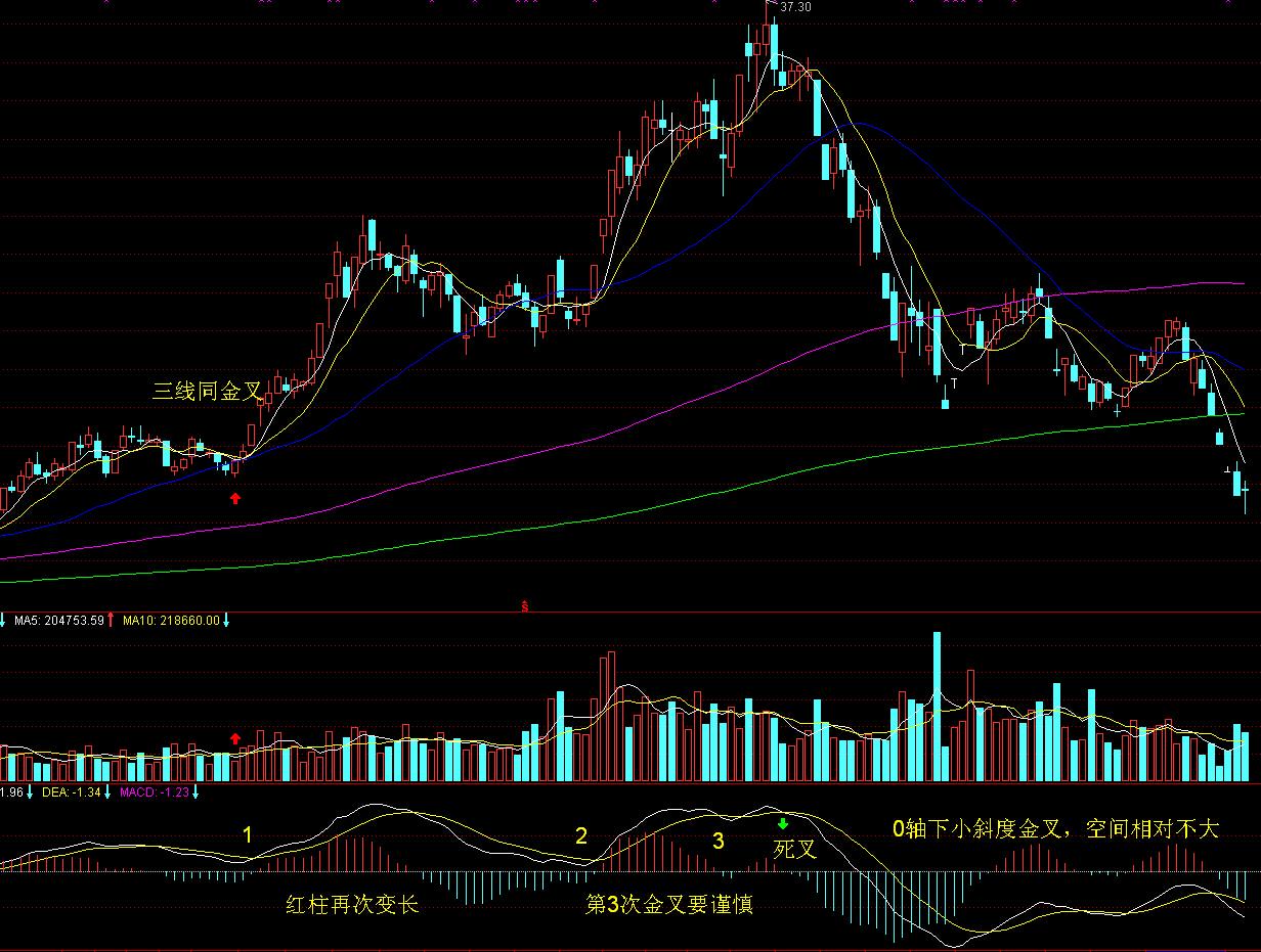 辽宁：“10条举措”助力残障人士创业就业